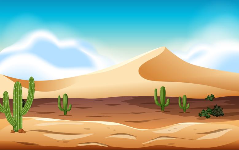 deserto com dunas e cactos vetor