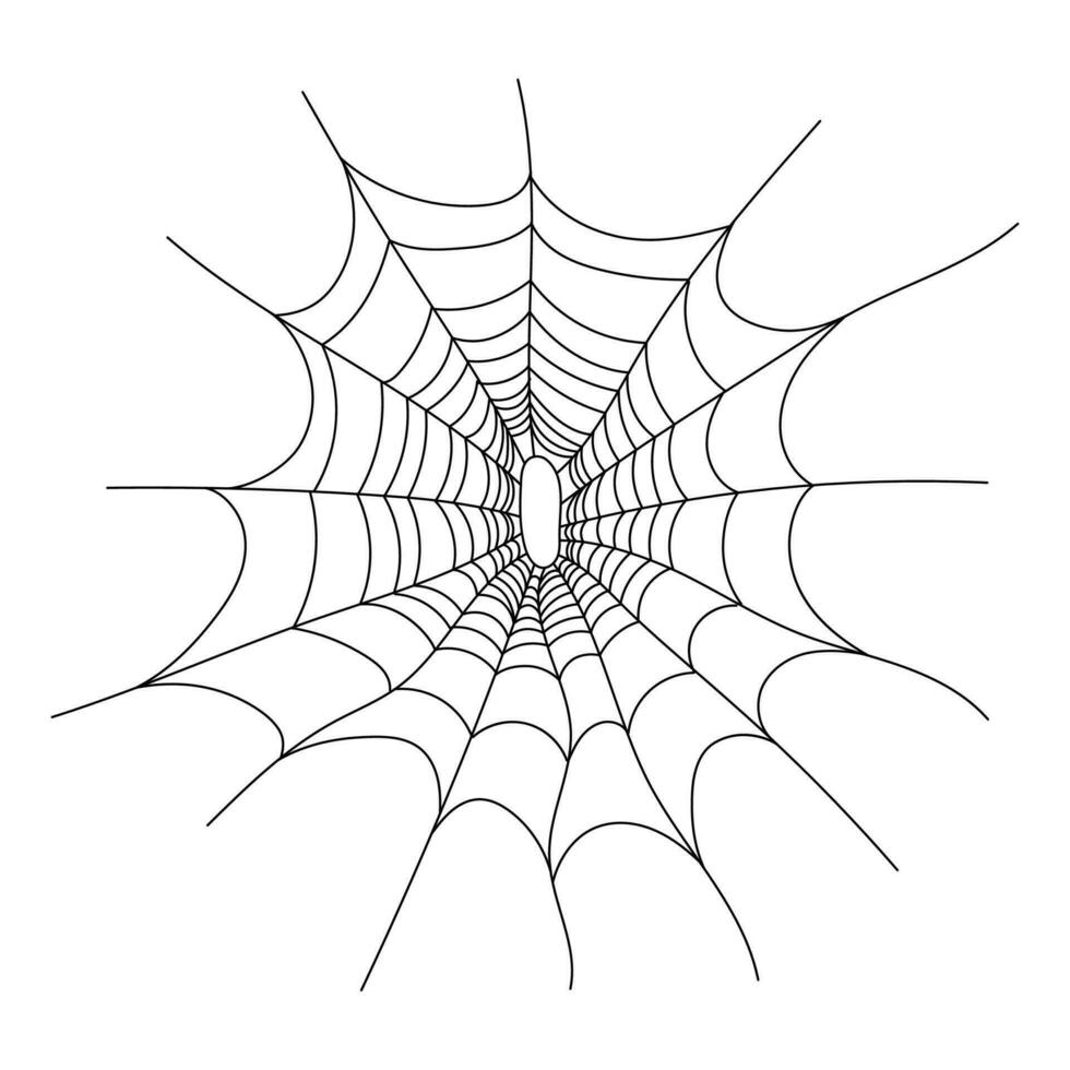 mão desenhado teia de aranha decoração elemento. vetor ilustração dentro desenho animado estilo isolado em branco.