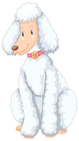 Assento de cachorro poodle branco vetor