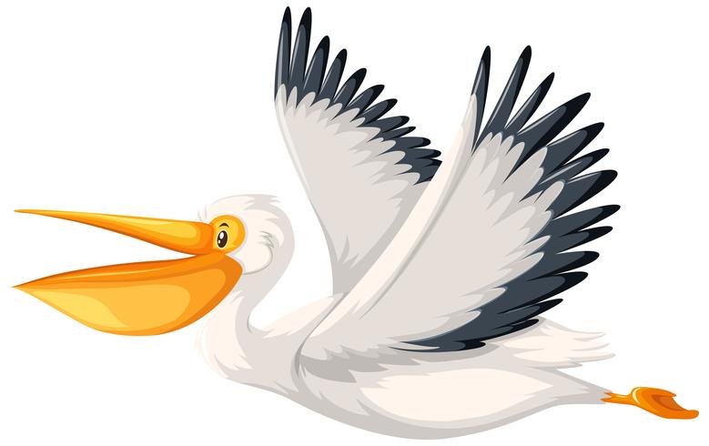 Um personagem pelicano voando vetor