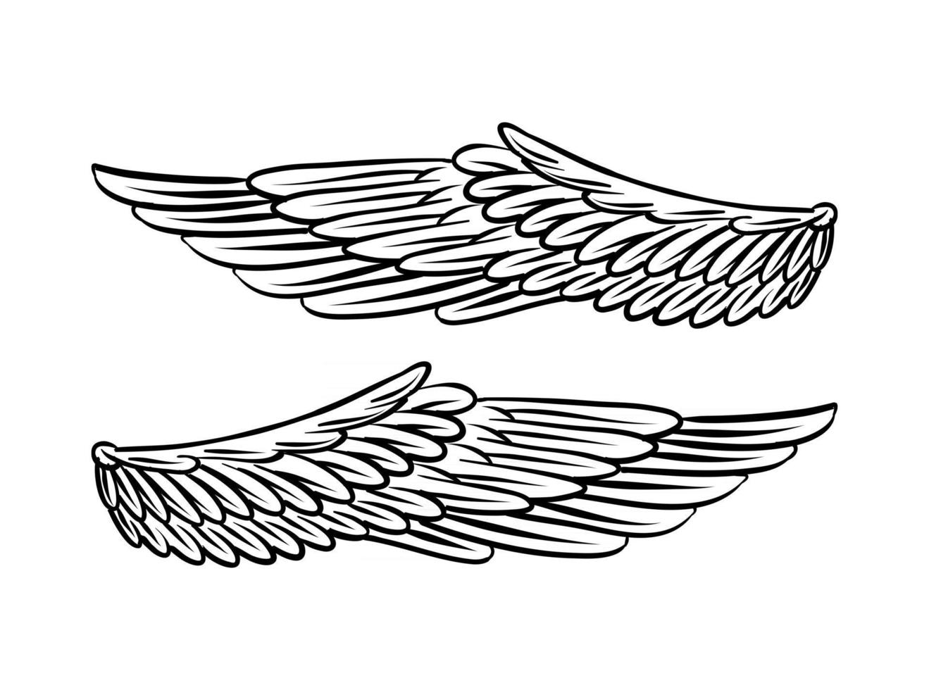 ilustração de asas de pássaro para elemento de branding vetor