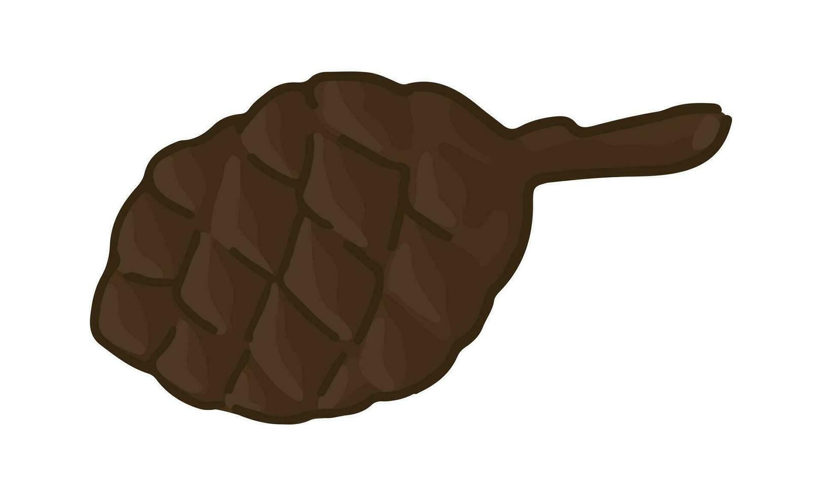 desenho animado clipart do pinho cone. rabisco do outono floresta colheita. contemporâneo vetor ilustração isolado em branco fundo.