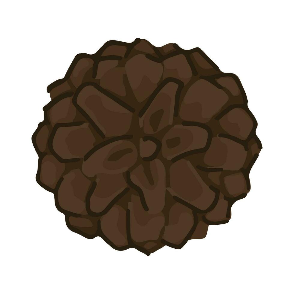 desenho animado clipart do pinho cone. rabisco do outono floresta colheita. contemporâneo vetor ilustração isolado em branco fundo.