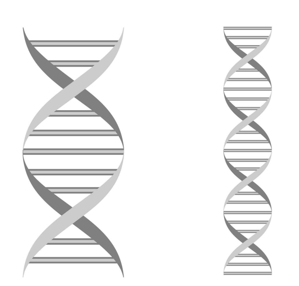 dna ícone. monocromático símbolo. desoxirribonucléico ácido cadeia isolado em branco. símbolo do genético Engenharia, biotecnologia. humano dna. vetor