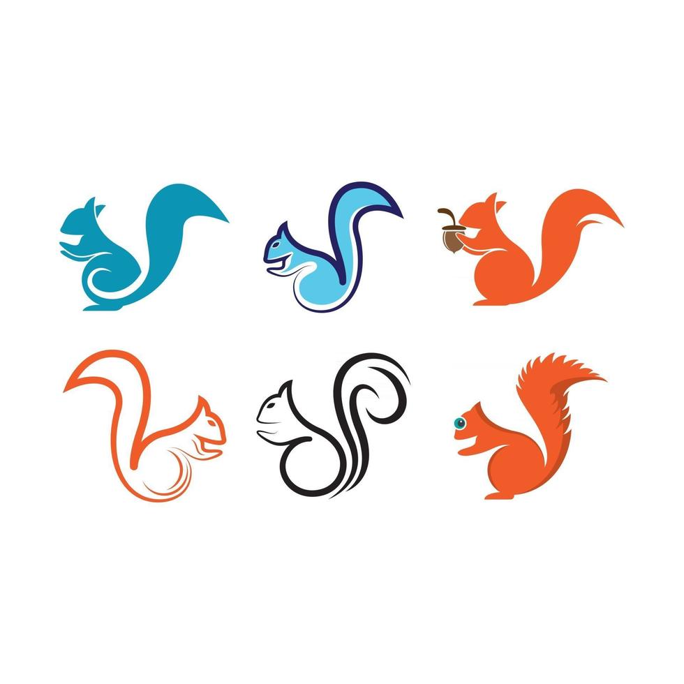 ilustração das imagens do logotipo do esquilo vetor