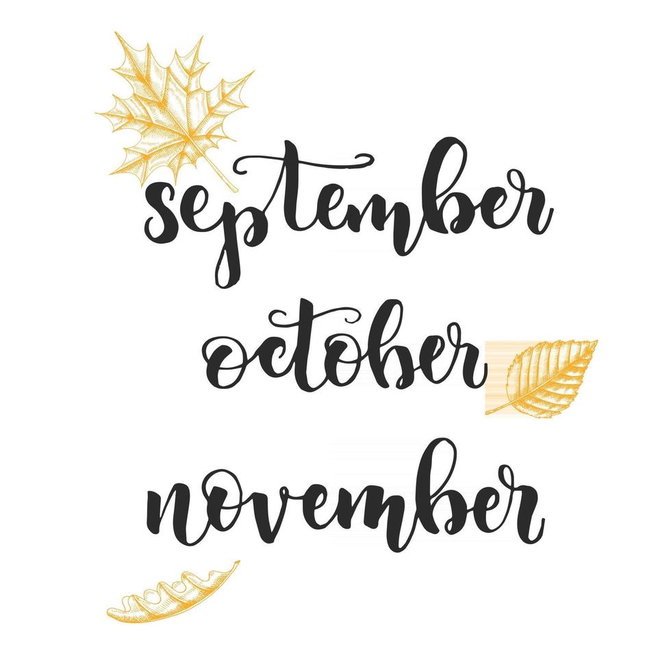outono letras caligrafia - setembro, outubro, novembro. vetor
