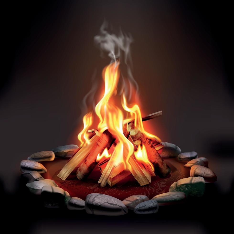 ilustração vetorial de fogueira a queimar madeira vetor
