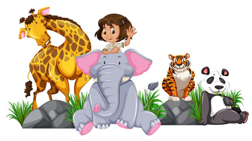 Garota do Safari com animais selvagens vetor