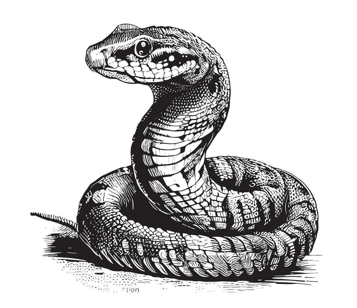 Cobra Da Serpente 3D Isolada Em Um Branco Ilustração Stock