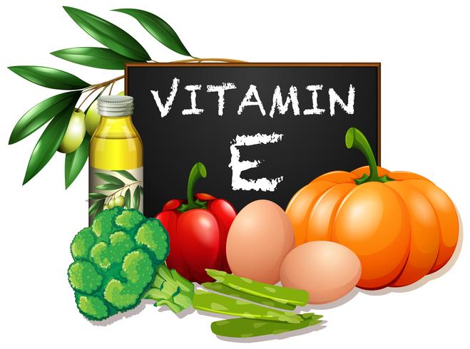 Alimentos com vitamina E vetor