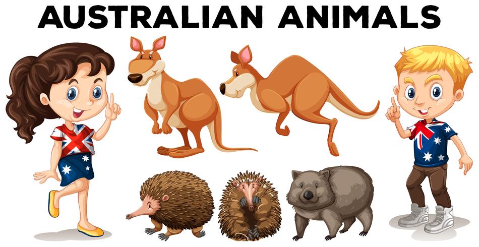 Conjunto de animais selvagens australianos vetor