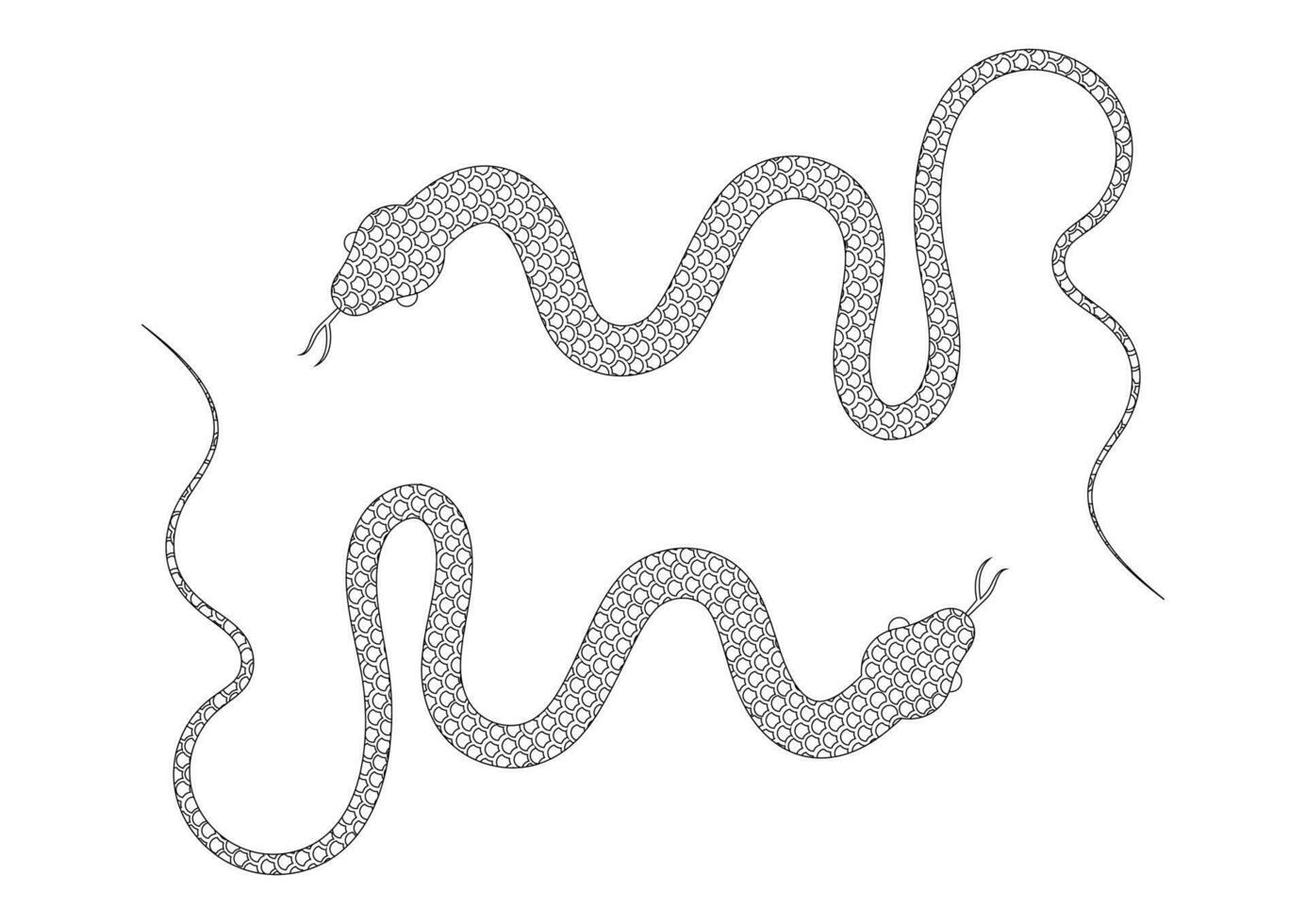 Preto e branco serpente vetor ilustração. coloração página do dois cobras