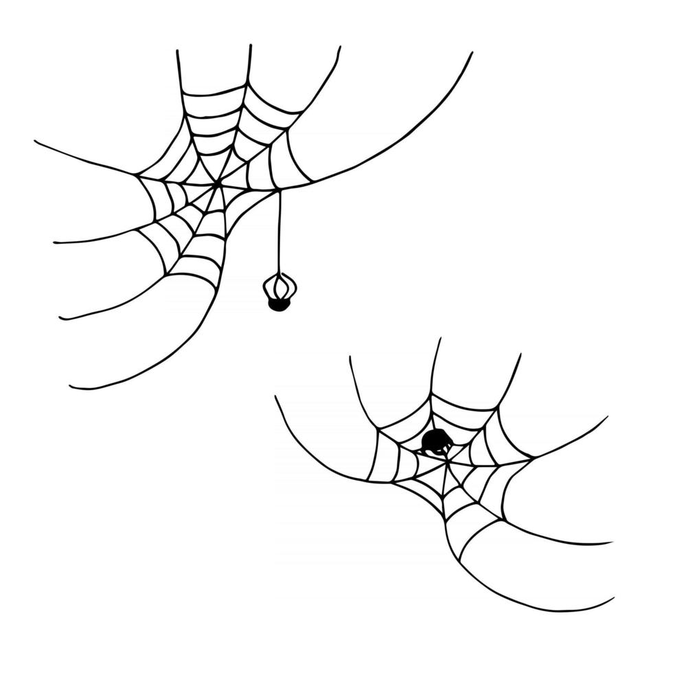 aranha na web. desenhado à mão doodle preto clip-art para o dia das bruxas. vetor