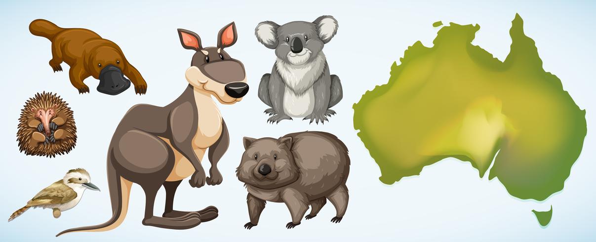 Animais selvagens diferentes na Austrália vetor