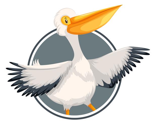 Pelicano na bandeira do círculo vetor