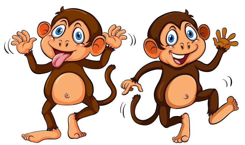 Dois macacos bonito dos desenhos animados vetor