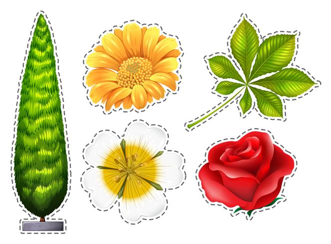 Diferentes tipos de flores vetor