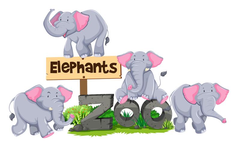 Elefantes ao redor do signo do zoológico vetor