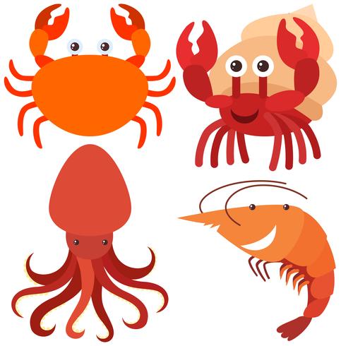 Quatro tipos de animais marinhos vetor