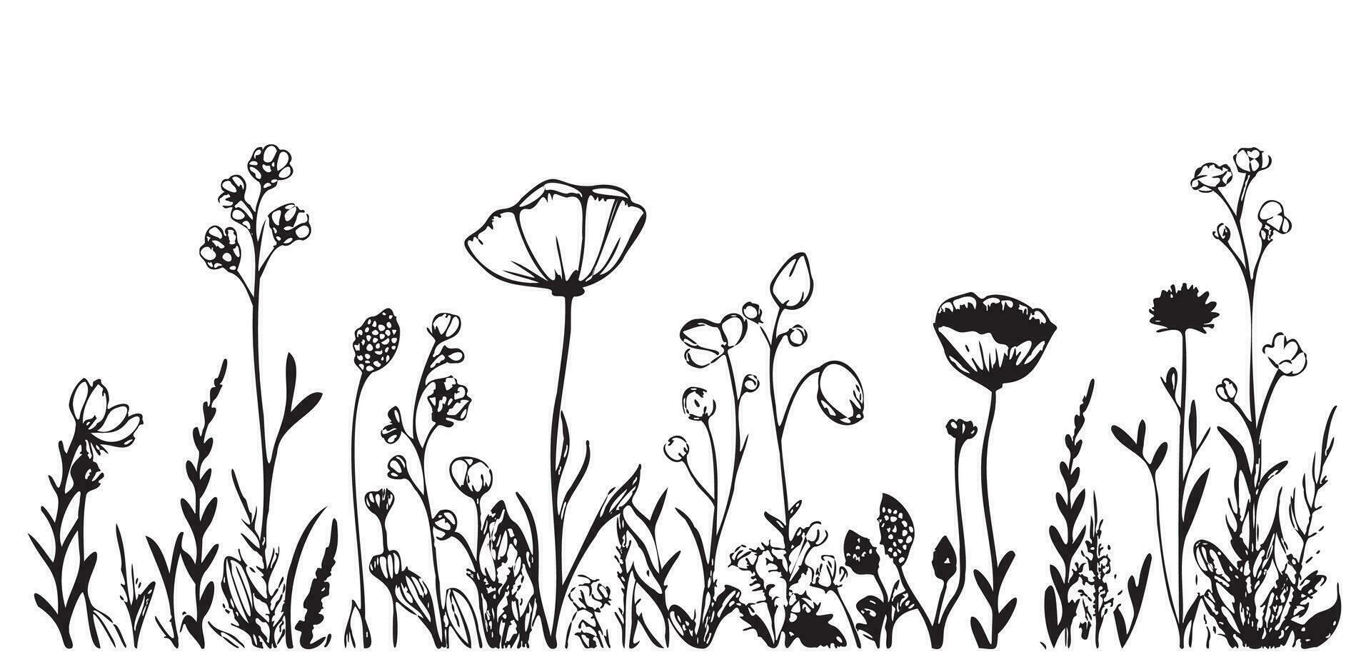 Relva flores silvestres fronteira esboço mão desenhado esboço vetor ilustração