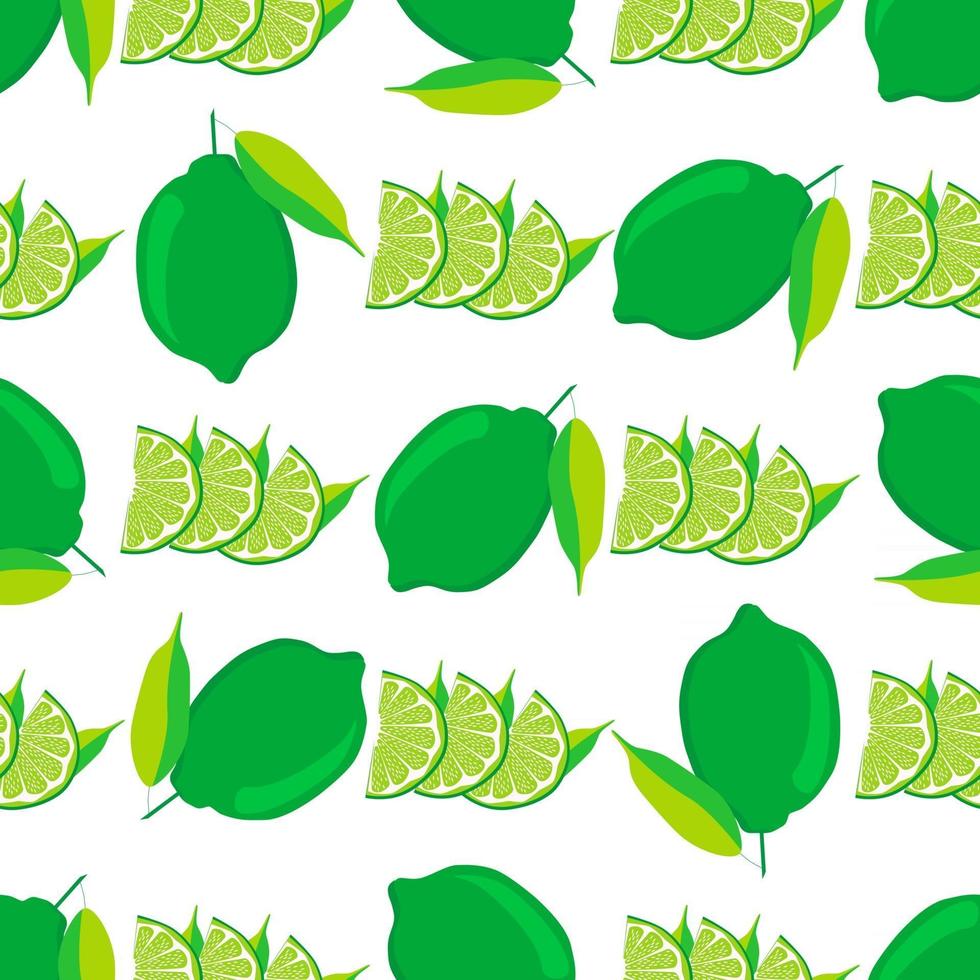ilustração sobre o tema grande colorido sem costura verde limão vetor