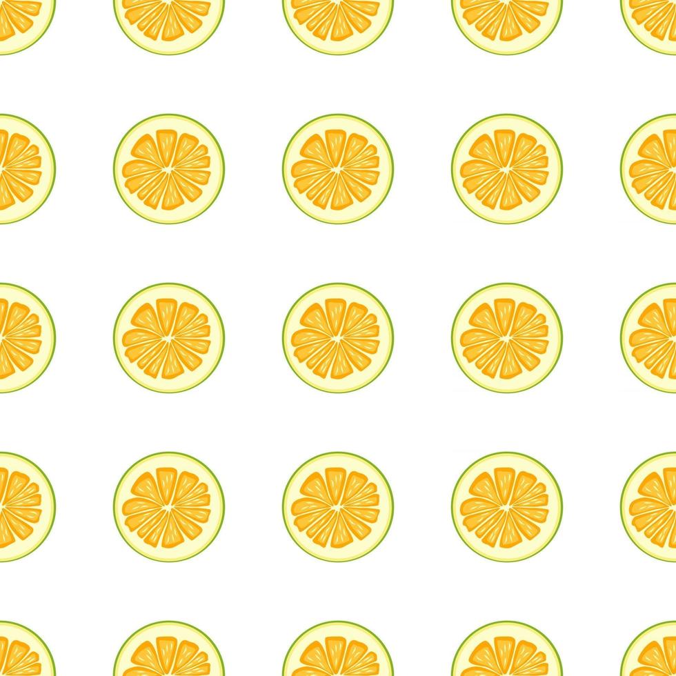 ilustração no tema grande pomelo colorido sem costura vetor