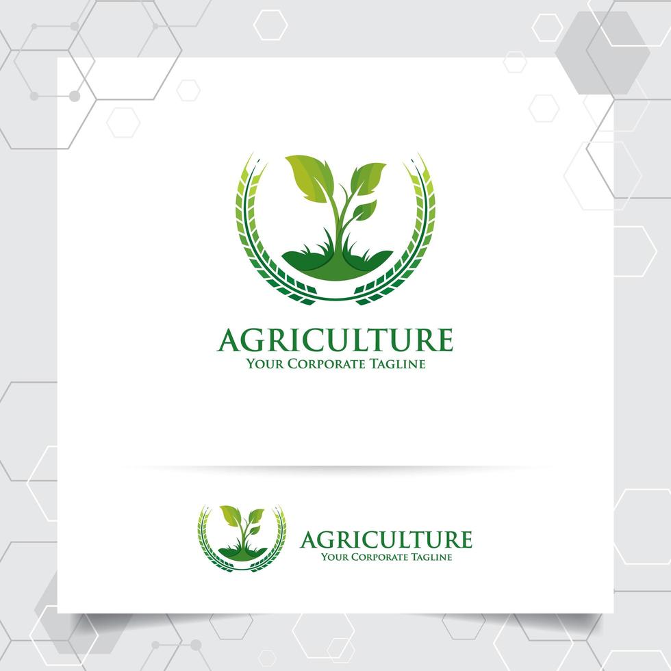 agricultura design de logotipo com ícone de grão e vetor de folhas de planta.