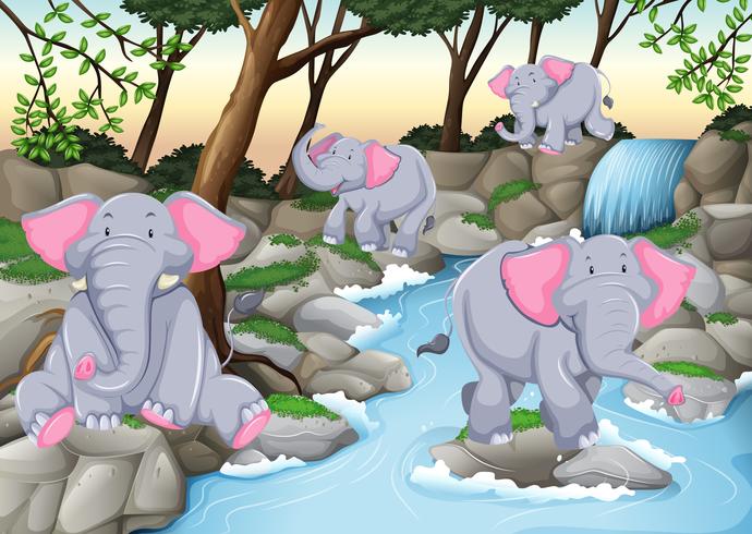 Quatro elefantes na cachoeira vetor