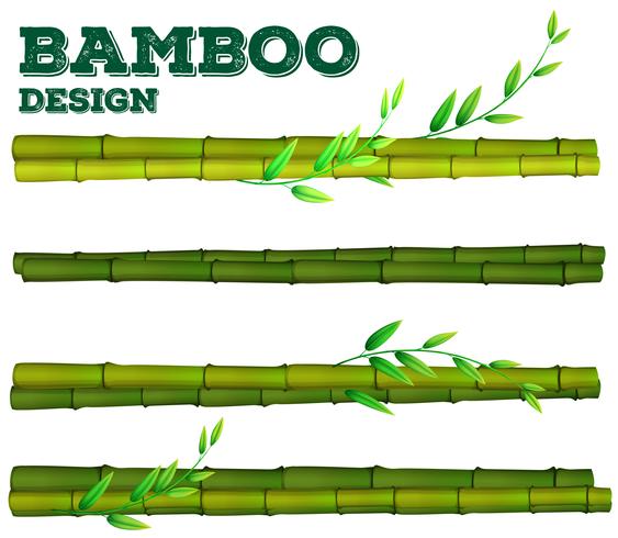 Bambu diferente com caule e folhas vetor