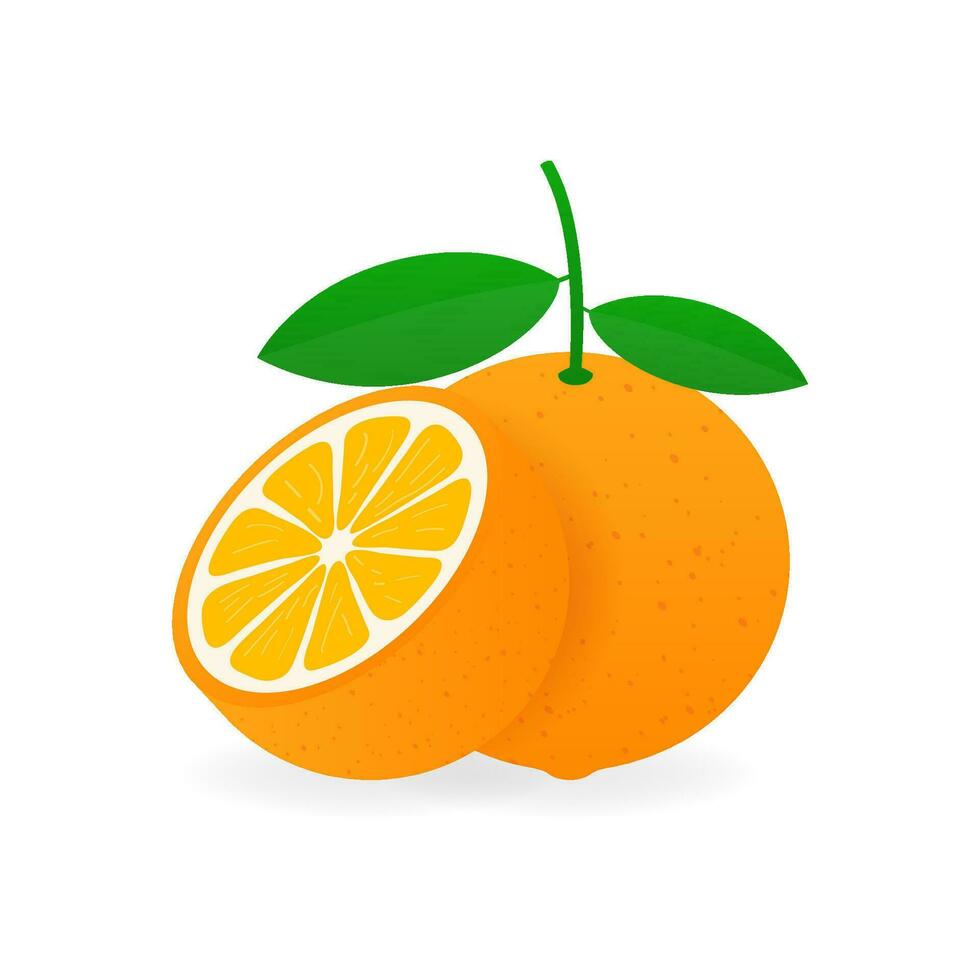 laranja com folhas todo e fatias do laranjas. vetor ilustração.