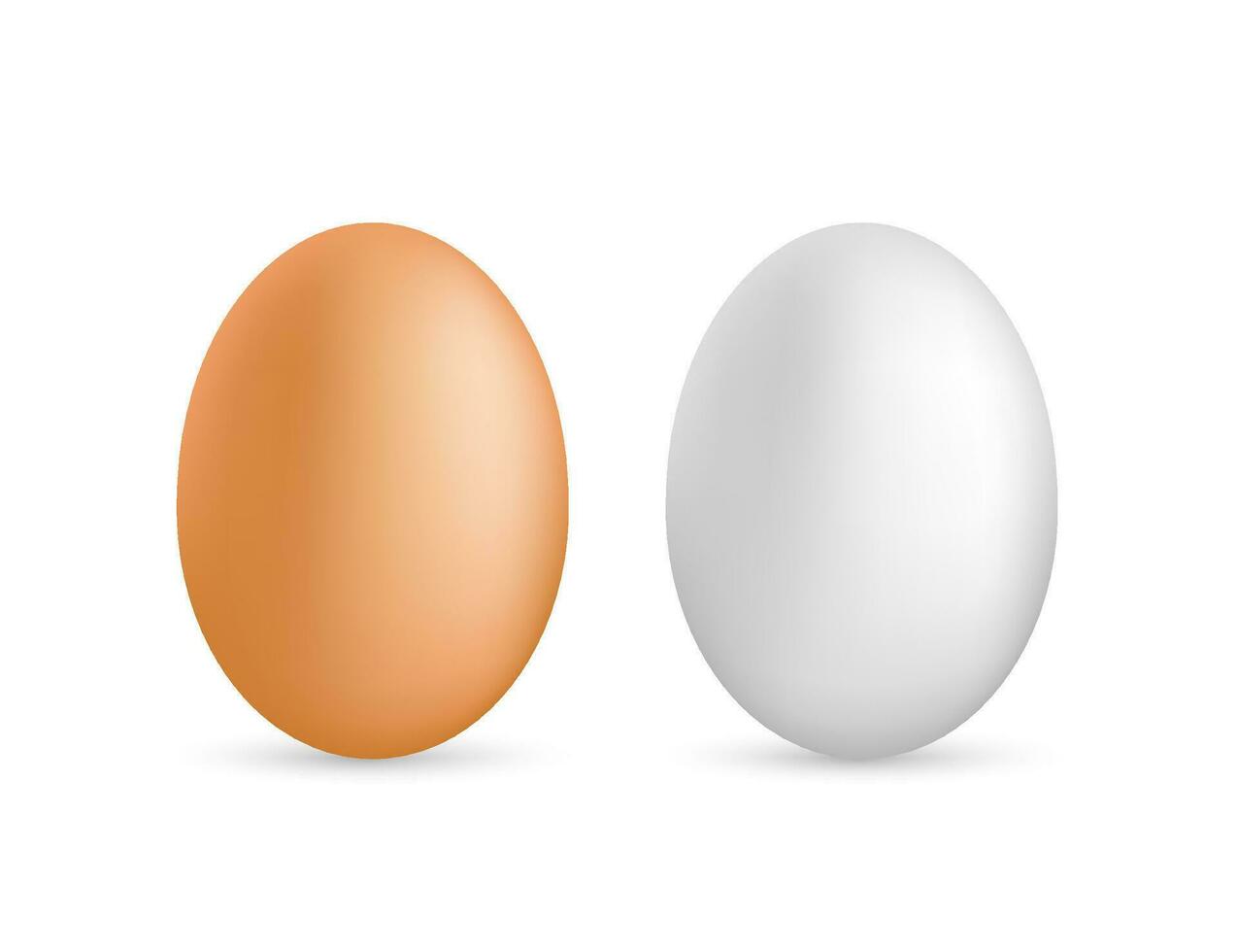 dois vetor realista branco ovos. isolado ovos em branco fundo. vetor estoque ilustração