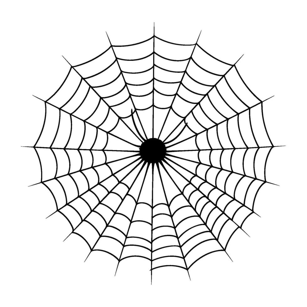 livre teia de aranha esboço Preto silhueta, aranha internet esboço vetor clipart