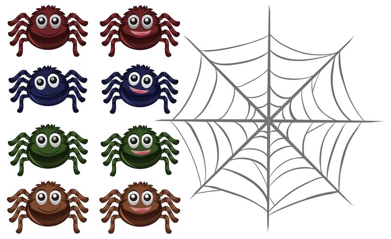Aranhas e web em fundo branco vetor