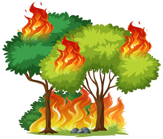 Árvore isolada em chamas vetor