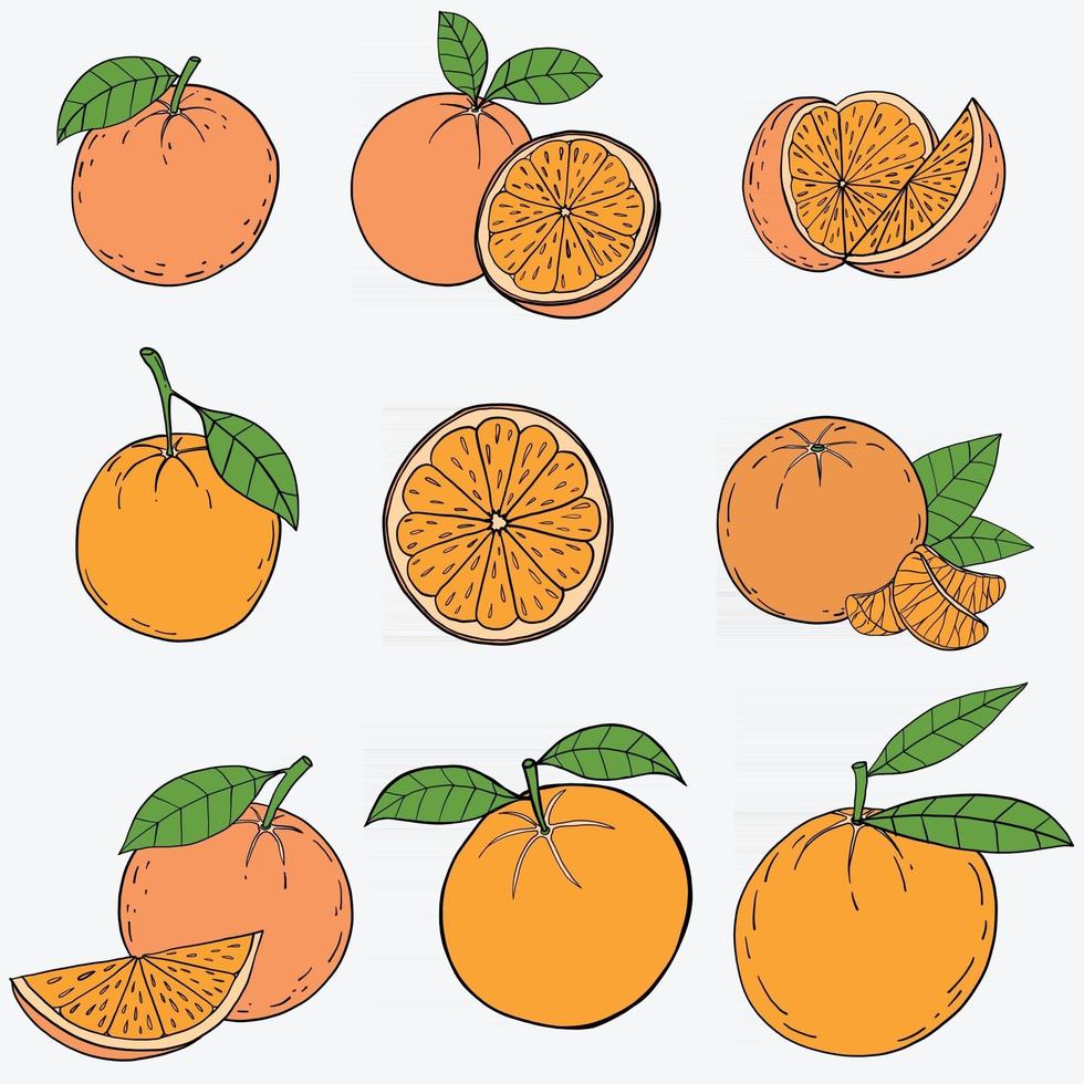 doodle desenho de esboço à mão livre de fruta laranja. vetor