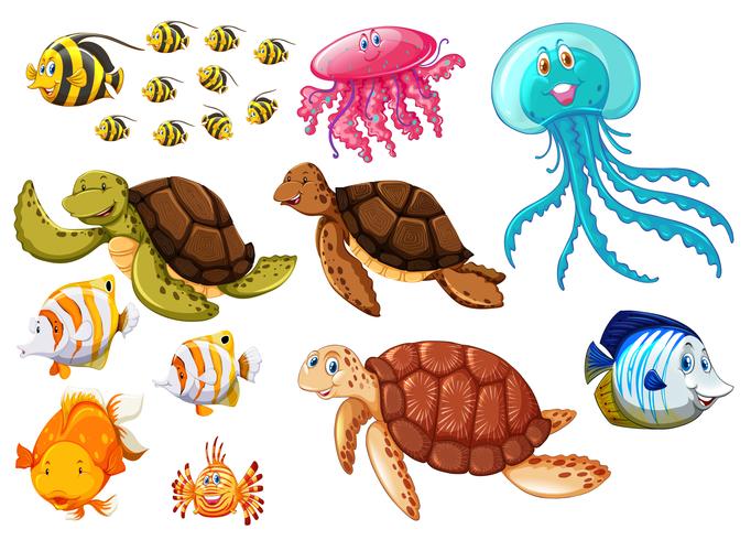 Diferentes tipos de animais marinhos vetor