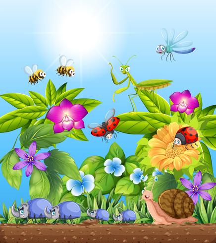 Diferentes tipos de insetos no jardim vetor