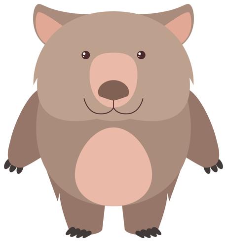 Wombat bonito com cara feliz vetor