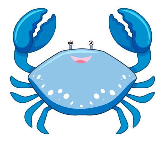 Um desenho animado caranguejo azul sobre fundo branco vetor