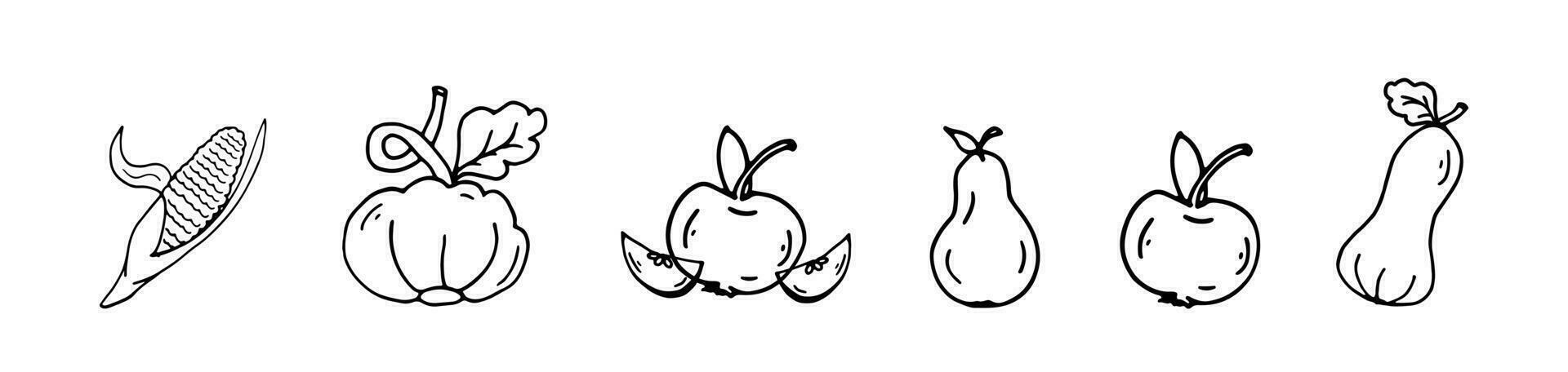 conjunto rabisco colheita legumes milho, abóbora, maçã, pera. vetor Preto mão desenhando outono frutas.