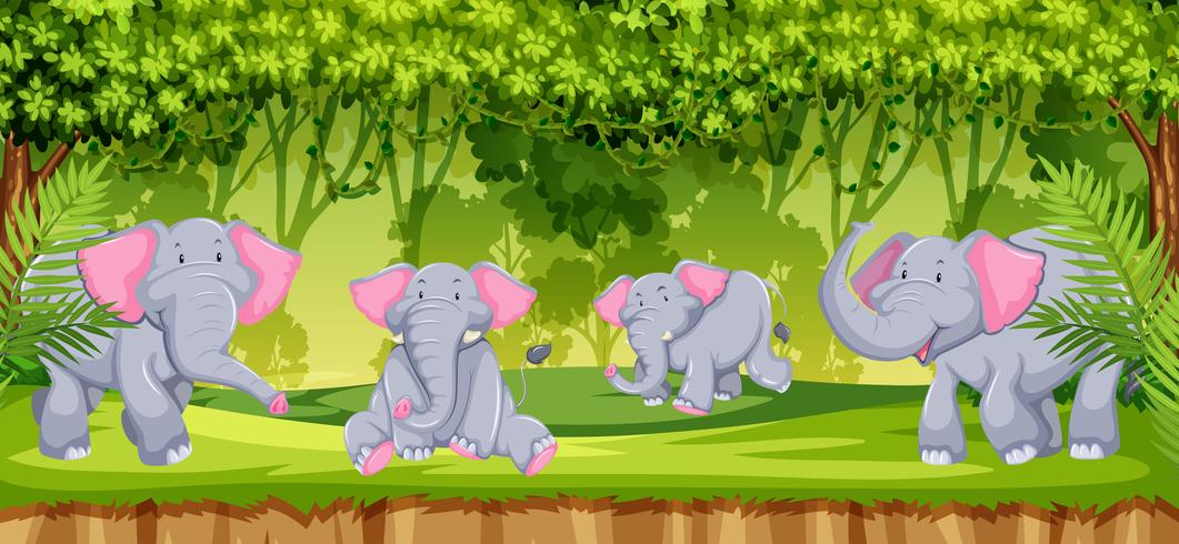 Elefantes na cena da selva vetor