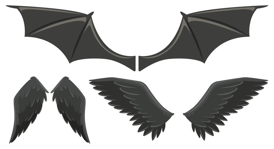 Três conjunto de asas negras vetor