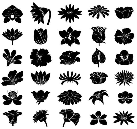 Modelos florais pretos vetor