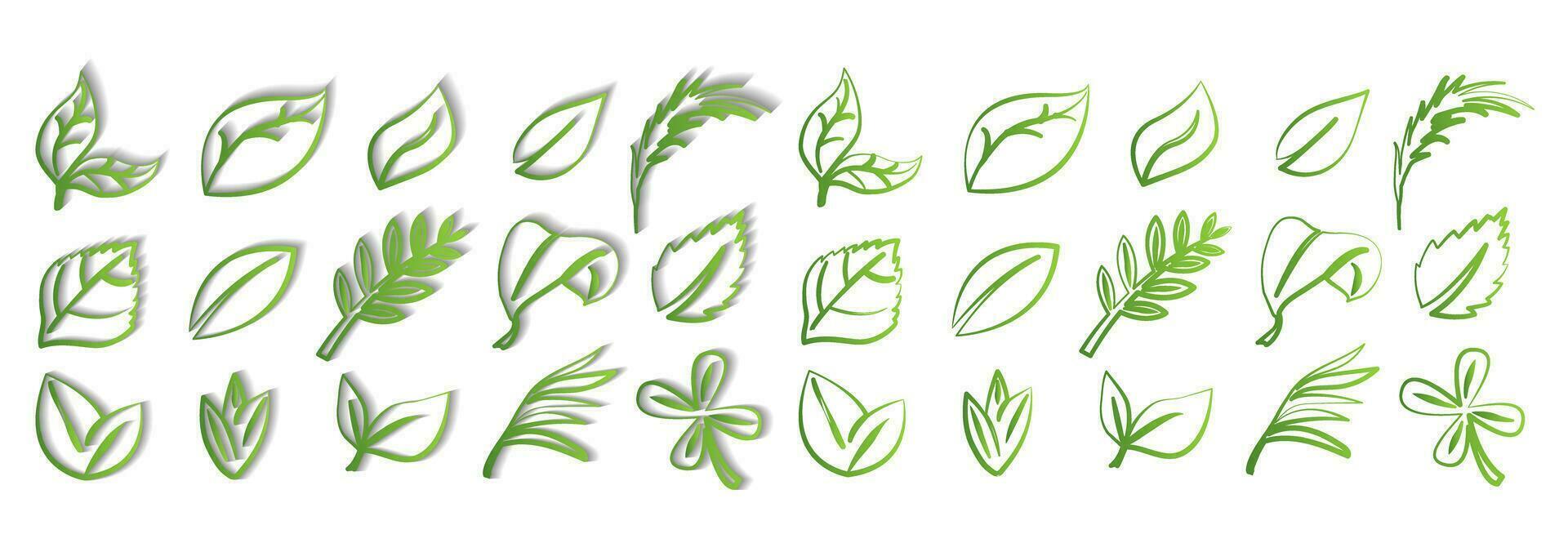 uma conjunto do verde folhas em uma branco fundo com e sem uma sombra, para logotipos, desenhos, para a simbolismo do a verde planeta vetor