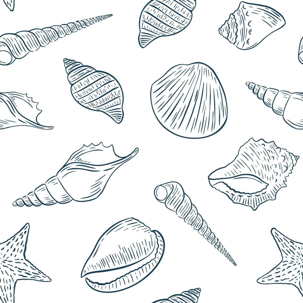 padrão de conchas do mar desenho mão desenho ilustração vetorial vetor