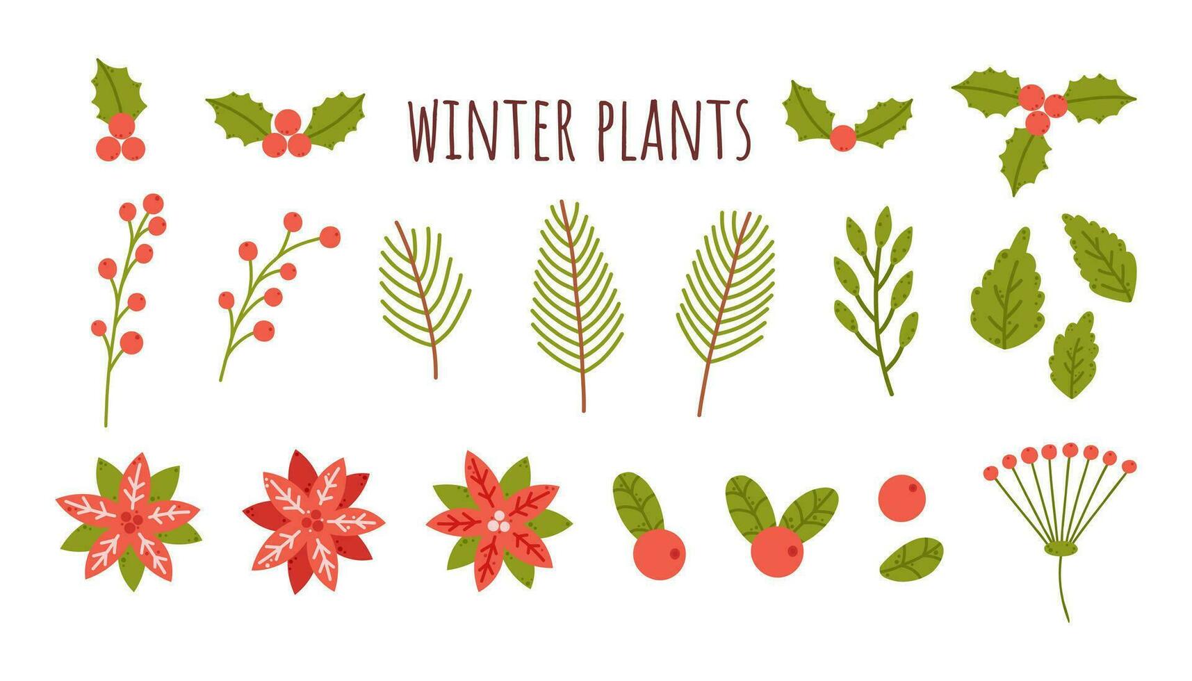 inverno bagas, folhas, flores Natal plantas definir. folha, pinho galhos, abeto filial, poinsétia, visco, mirtilos, cranberries. desenho animado plano vetor ilustração