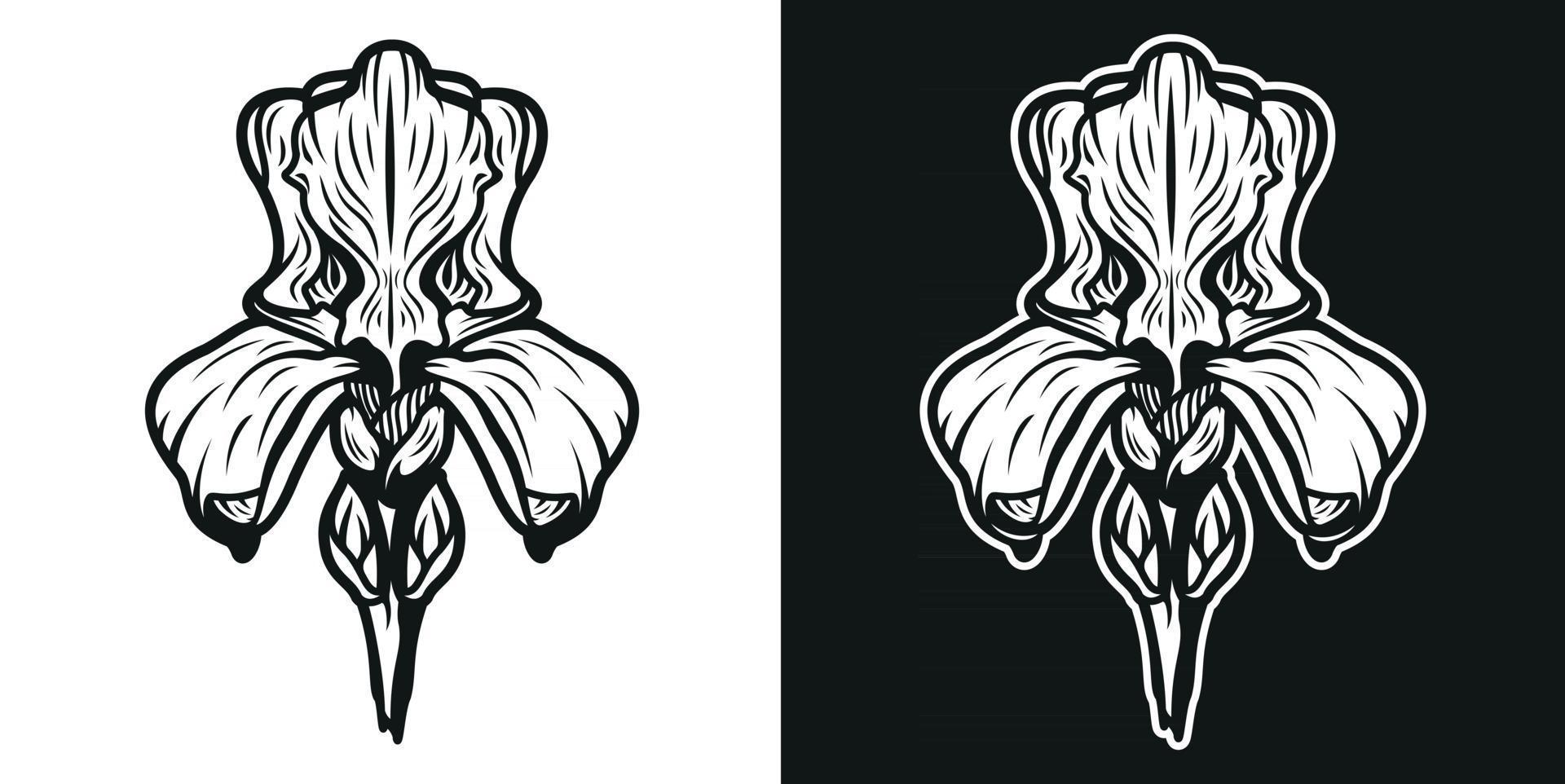 ilustração em preto e branco da flor da íris. vetor