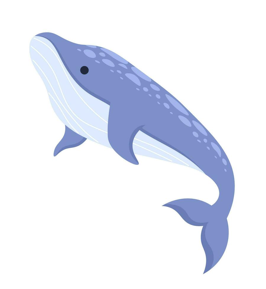 baleia corcunda embaixo da agua 2d desenho animado personagem. gigante mar criatura isolado vetor animal branco fundo. ameaçadas de extinção espécies. grande peixe. oceano criatura. marinho vida cor plano local ilustração