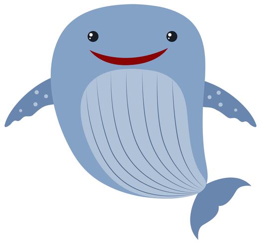 Baleia azul em fundo branco vetor