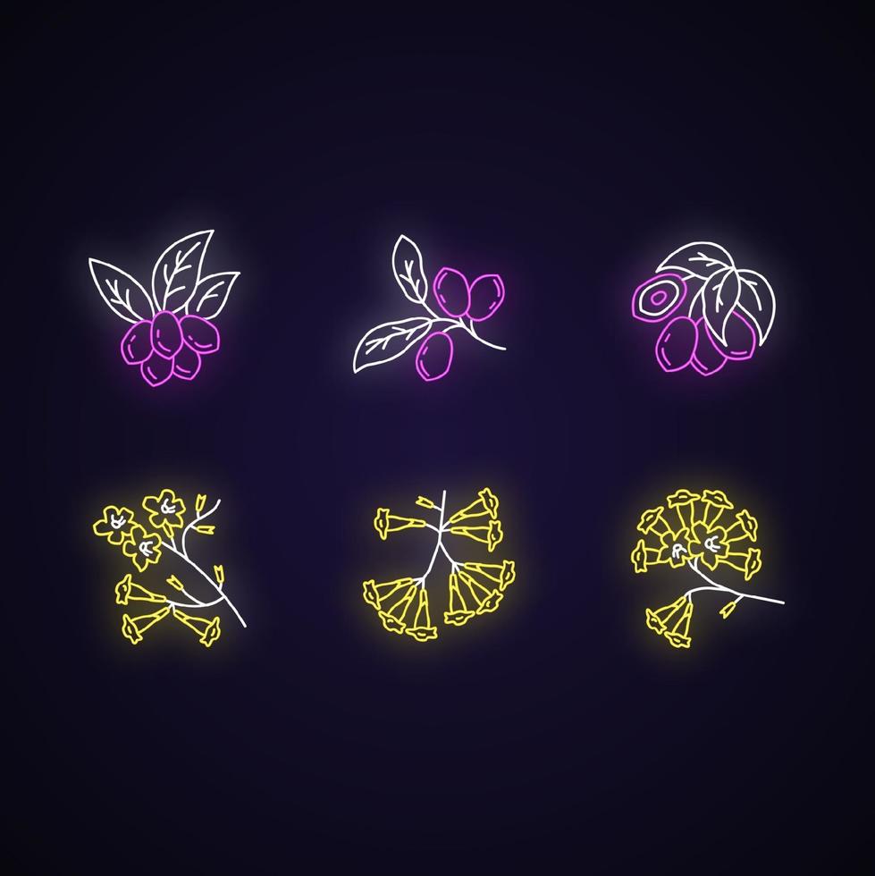 conjunto de ícones de luz de néon da flora brasileira vetor